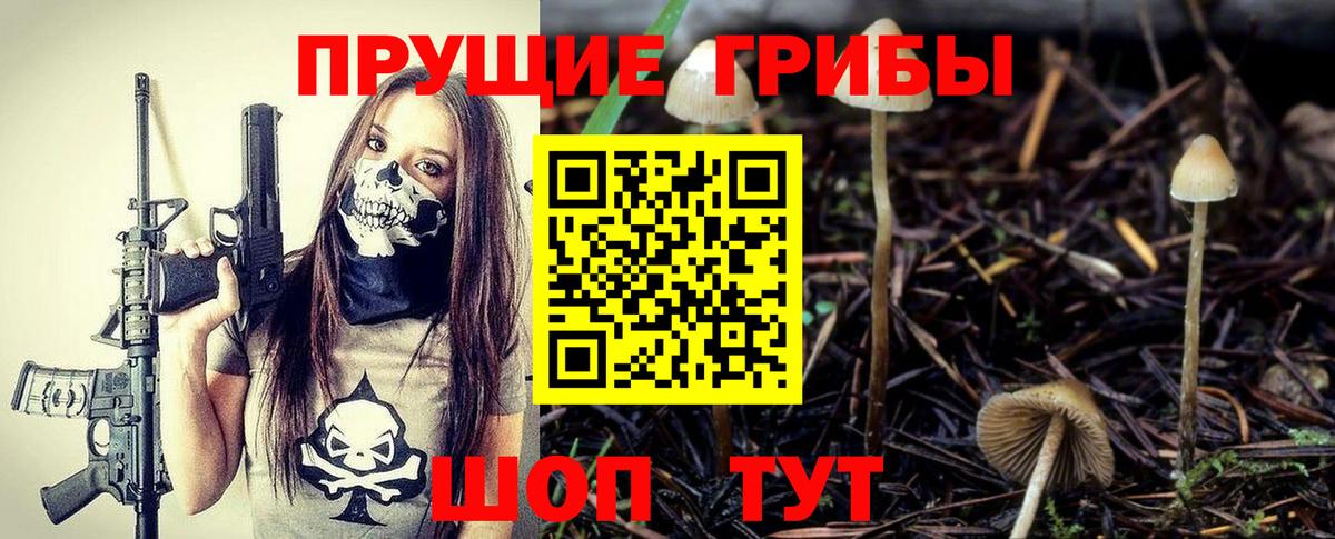 Псилоцибиновые грибы Cubensis Мурманск